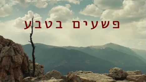 thumbnail - פשעים בטבע