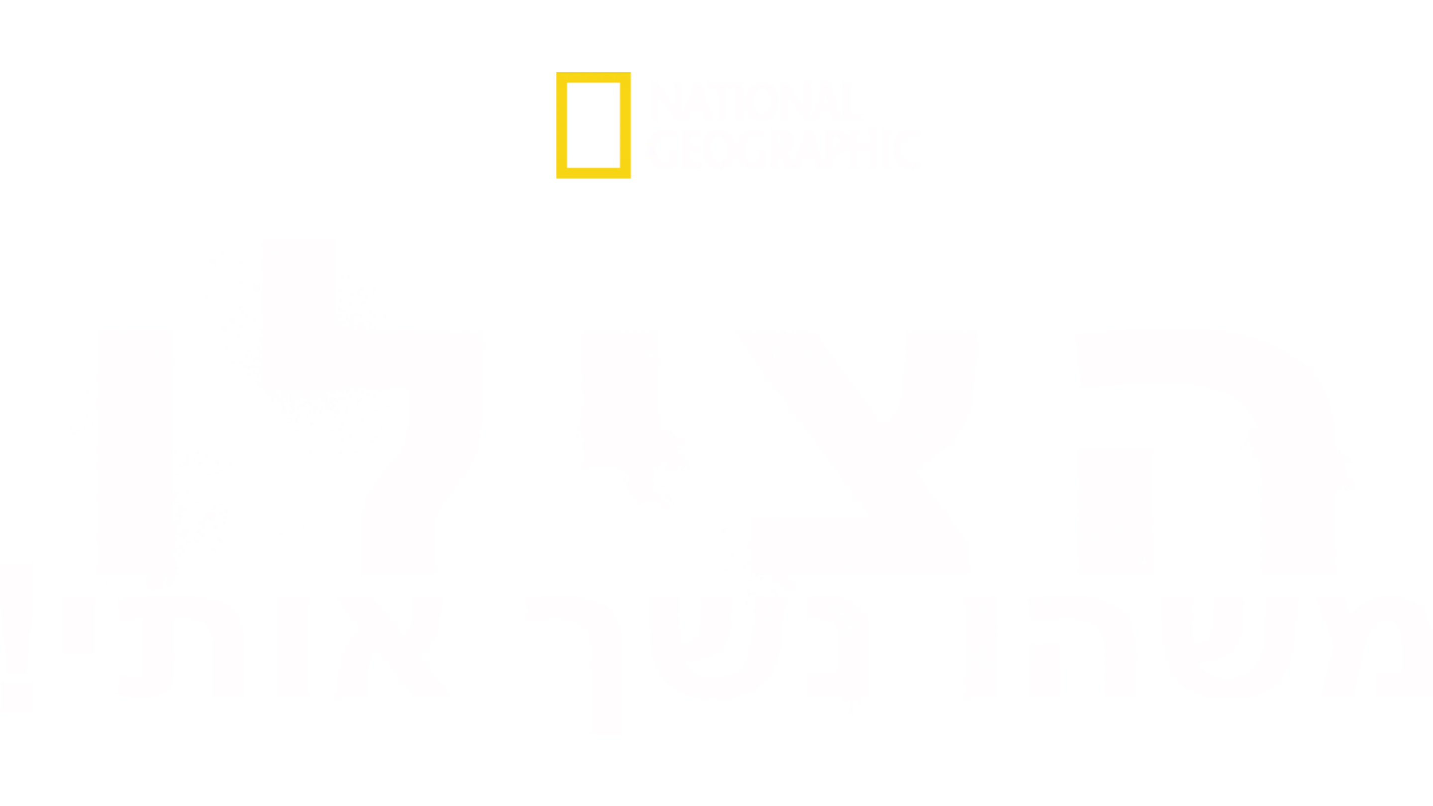 הצילו, משהו נשך אותי!
