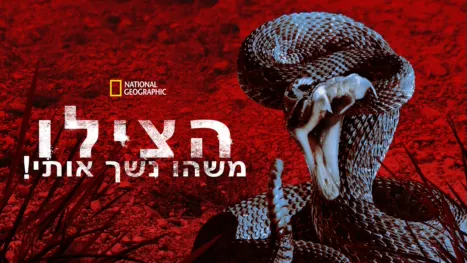 thumbnail - הצילו, משהו נשך אותי!