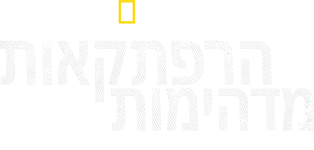 הרפתקאות מדהימות עם ברטי גרגורי