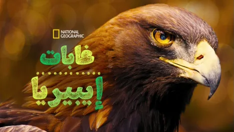 thumbnail - غابات إيبيريا