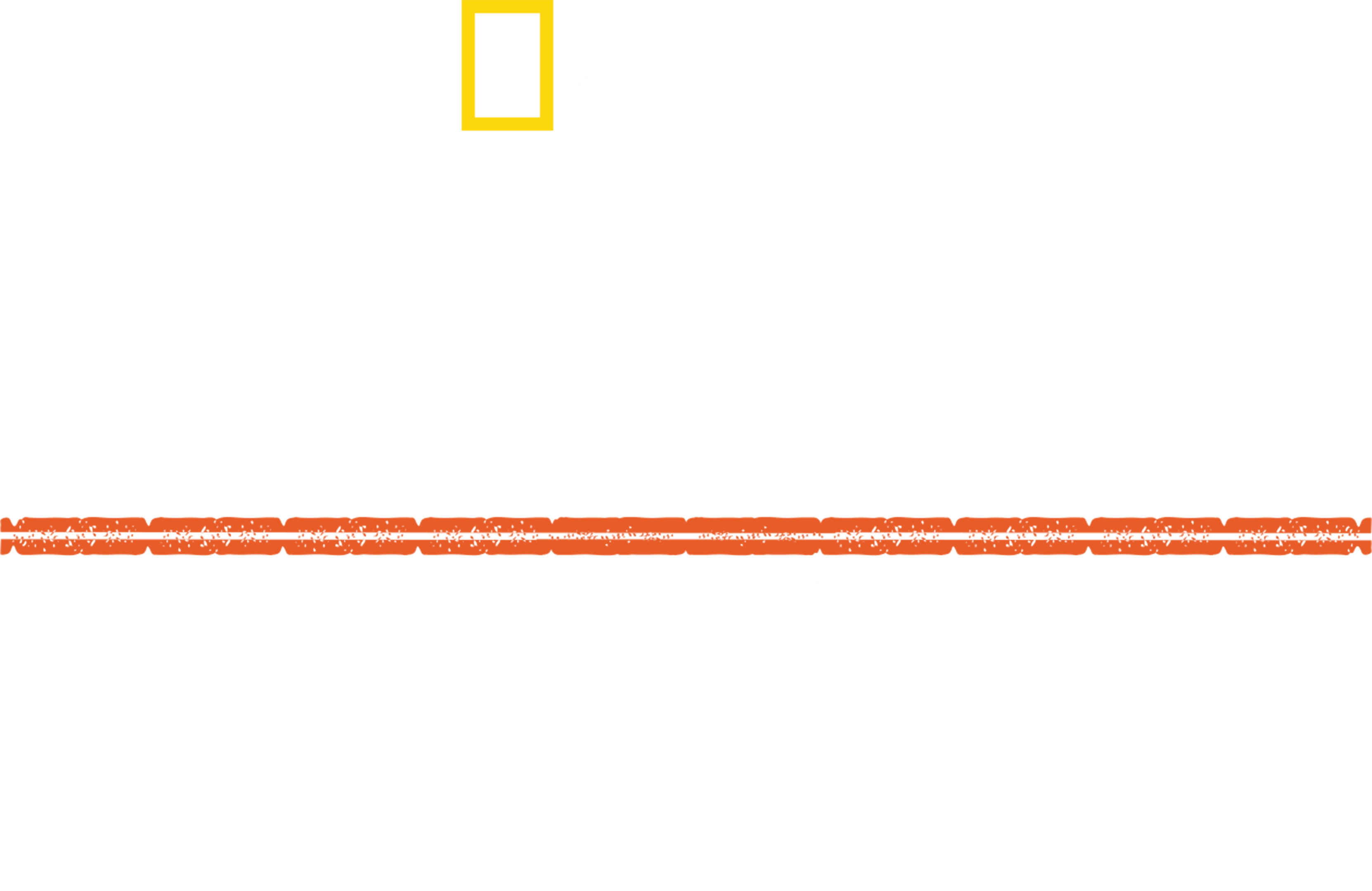 אפוקליפסה: היטלר כובש את המזרח