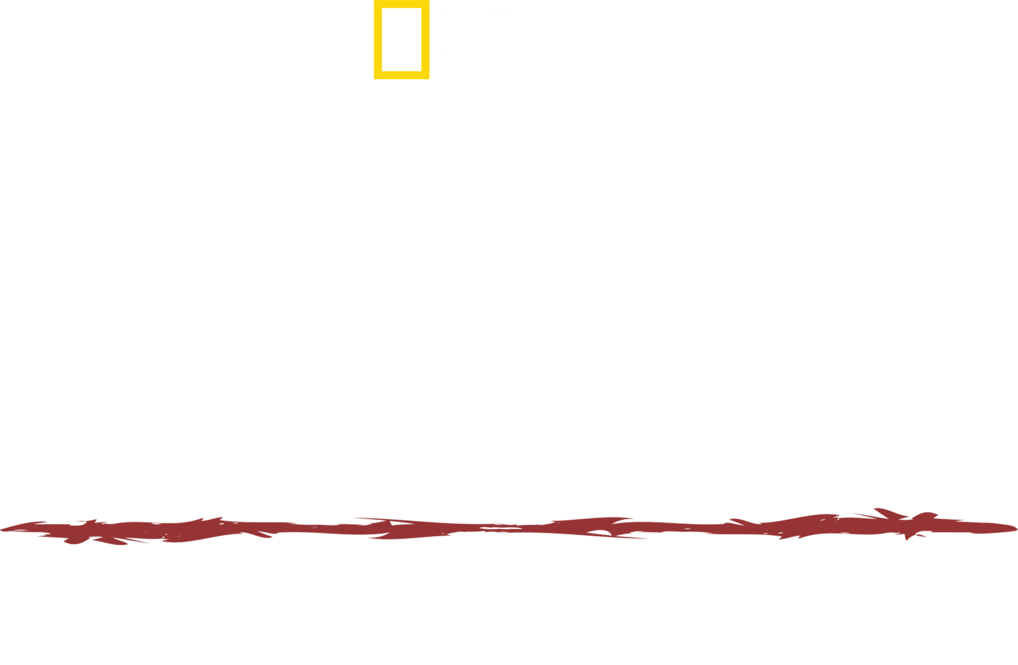 أساليب البقاء: الهروب من الأمازون