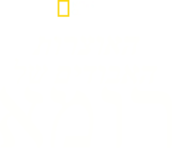 האוצרות האבודים של רומא