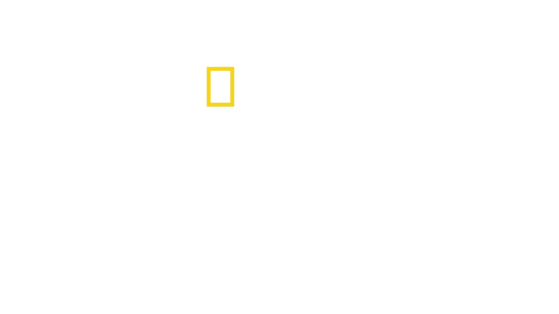 חסר גבולות עם כריס המסוורת'