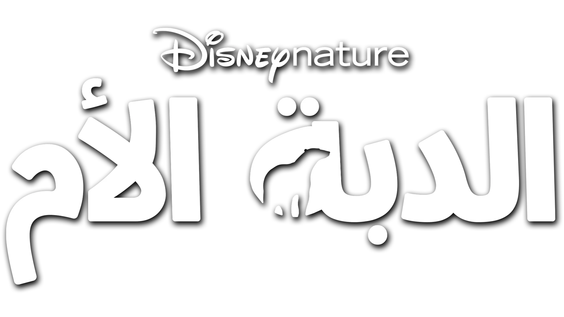 الدبة الأم