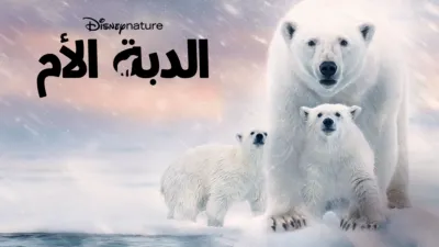 thumbnail - الدبة الأم