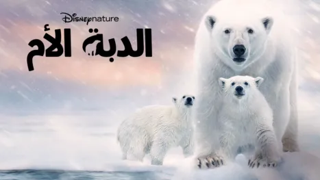 thumbnail - الدبة الأم