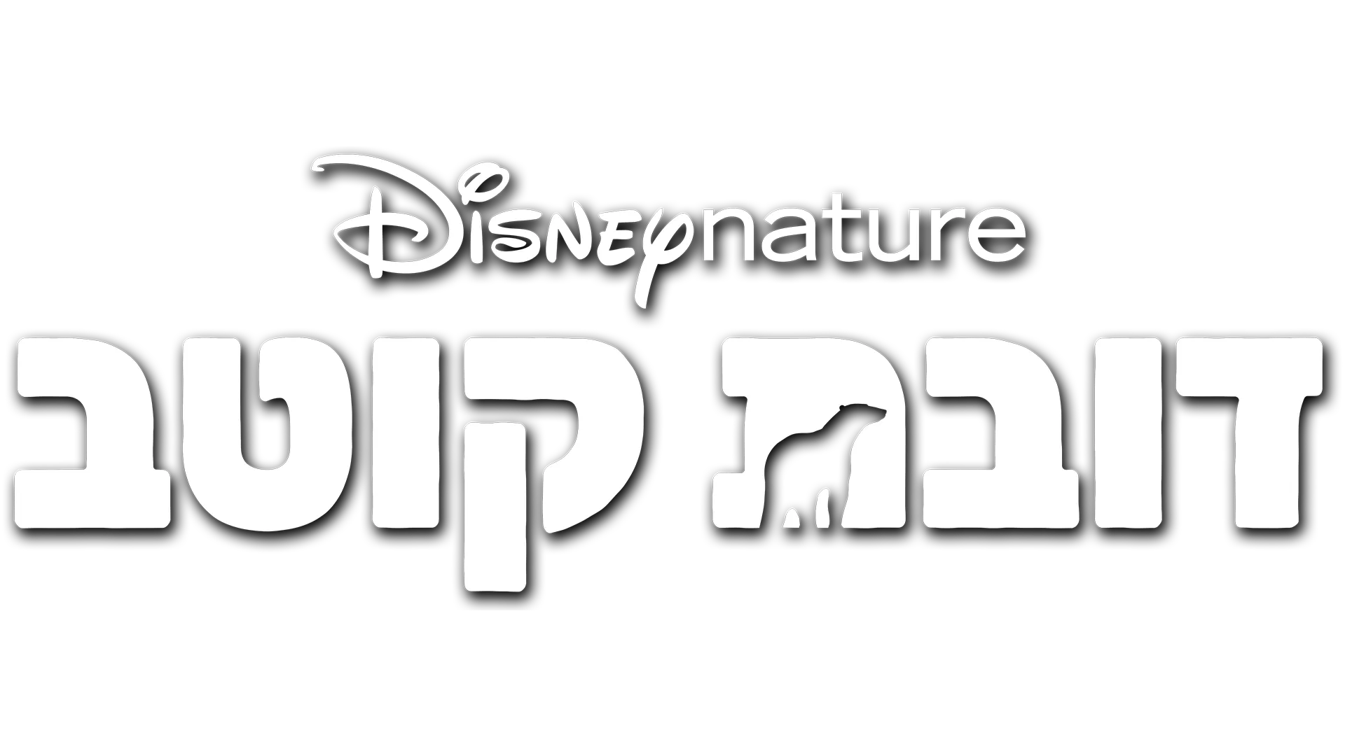 דובת קוטב