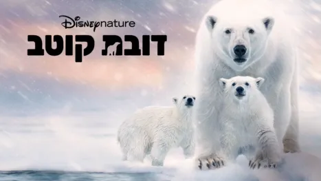 thumbnail - דובת קוטב