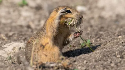 thumbnail - S3:E5 Making the Call