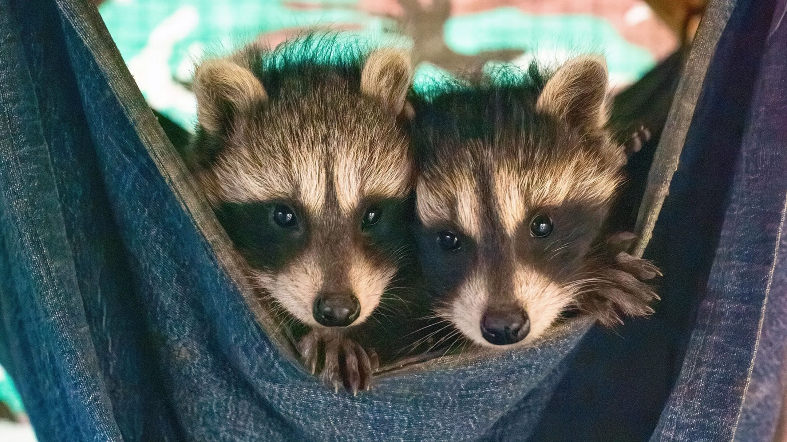 thumbnail - S3:E3 It Takes a Village