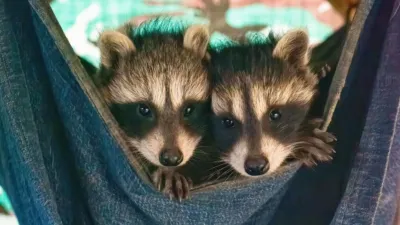 thumbnail - S3:E3 It Takes a Village