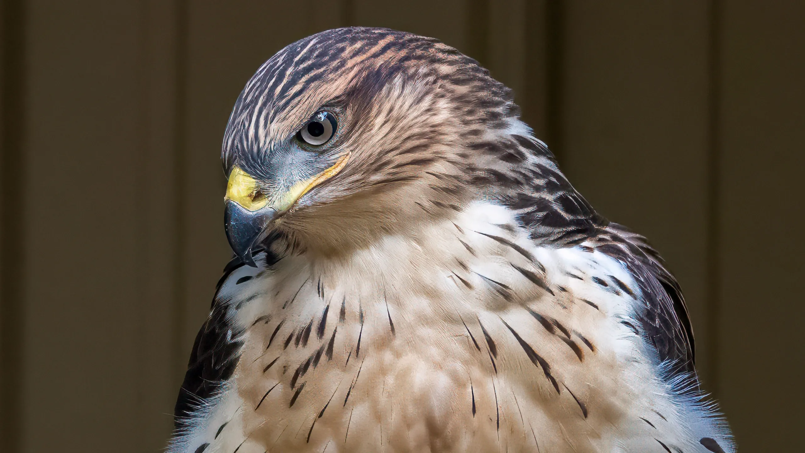 thumbnail - S3:E4 Blood, Sweat and Tears