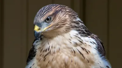 thumbnail - S3:E4 Blood, Sweat and Tears