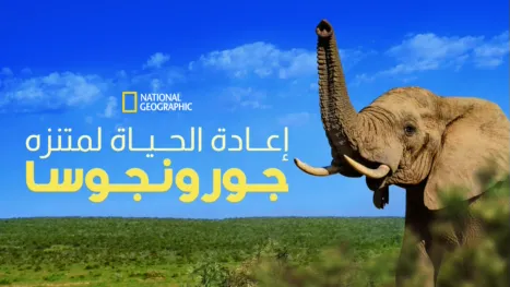 thumbnail - إعادة الحياة لمتنزه جورونجوسا