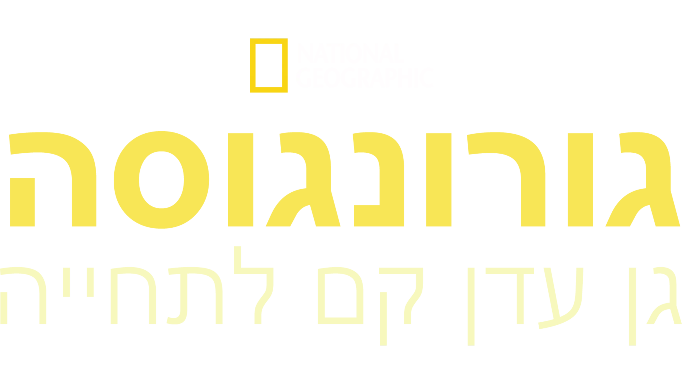 גורונגוסה: גן עדן קם לתחייה