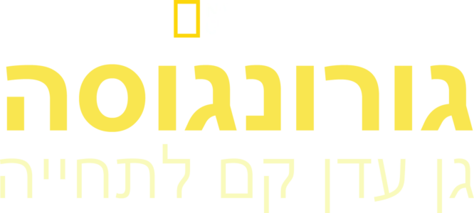גורונגוסה: גן עדן קם לתחייה