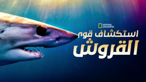thumbnail - Shark Superpower