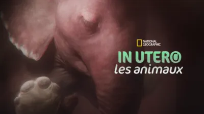thumbnail - In The Womb: Animal Babies