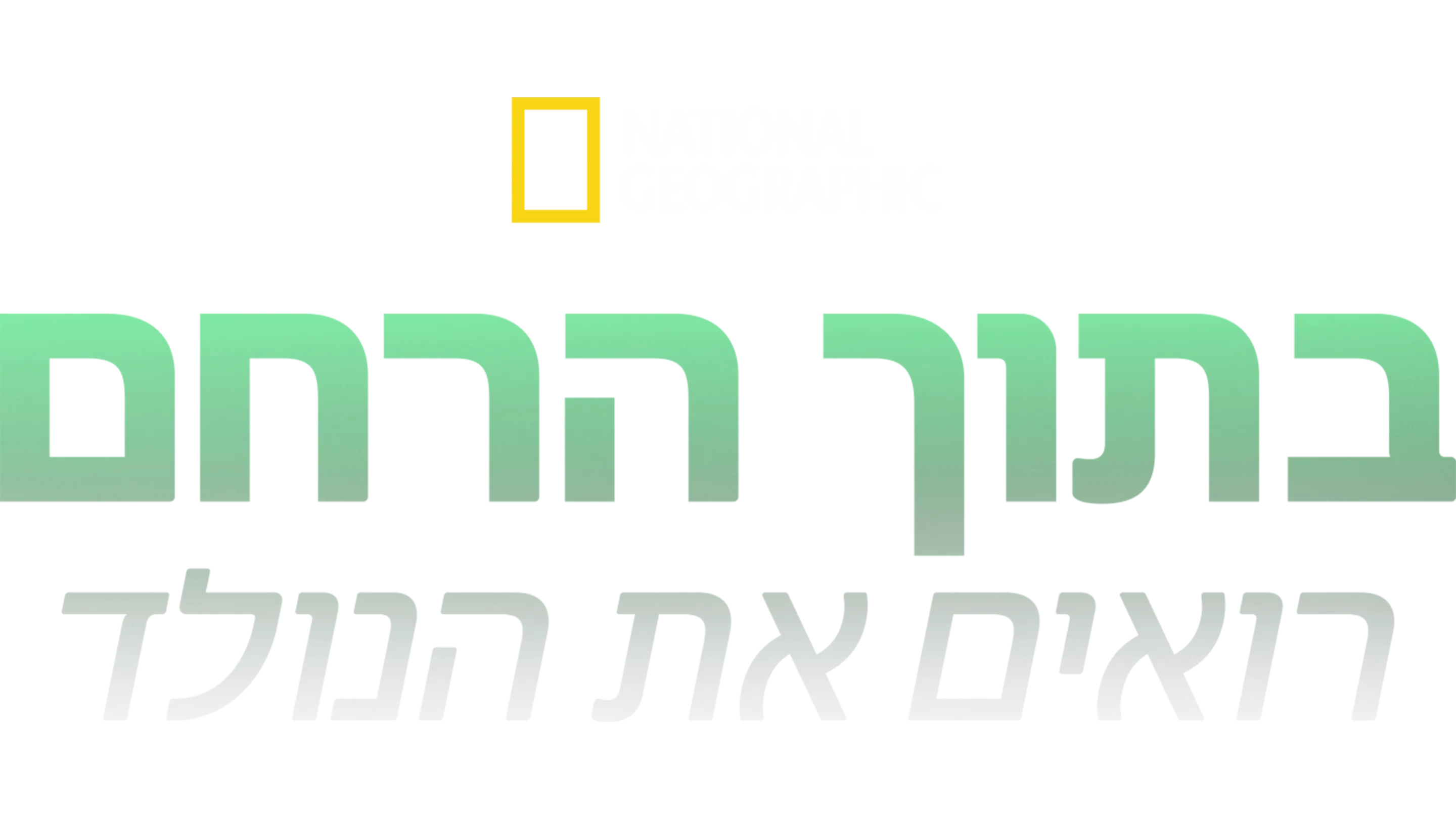 בתוך הרחם: רואים את הנולד