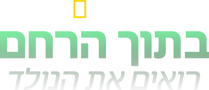 בתוך הרחם: רואים את הנולד