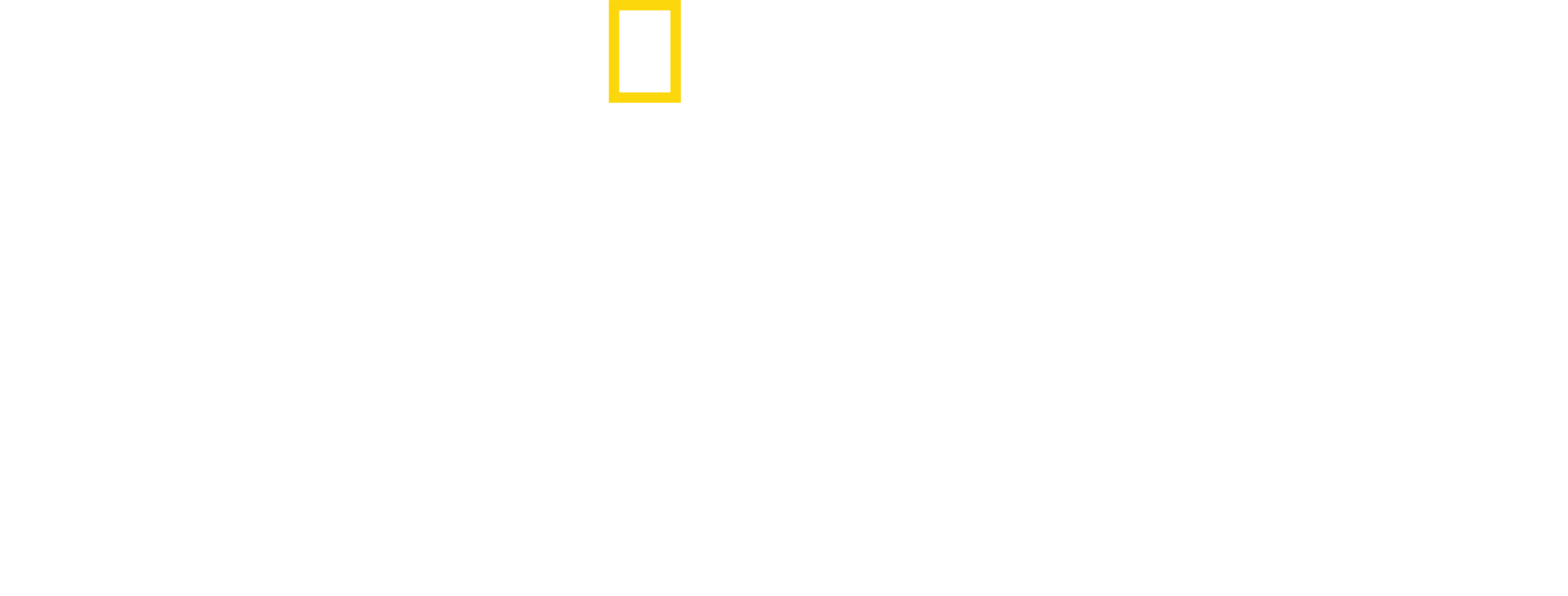 مواجهة القرش مع الحيوان المفترس