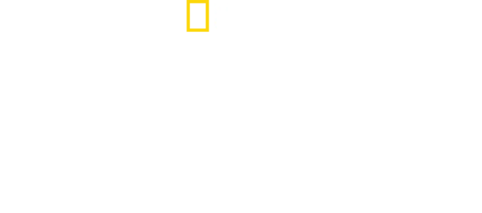 משחקי הכרישים