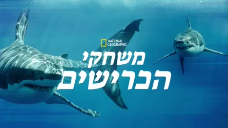 thumbnail - משחקי הכרישים