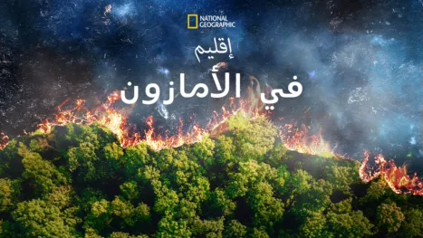 thumbnail - إقليم في الأمازون