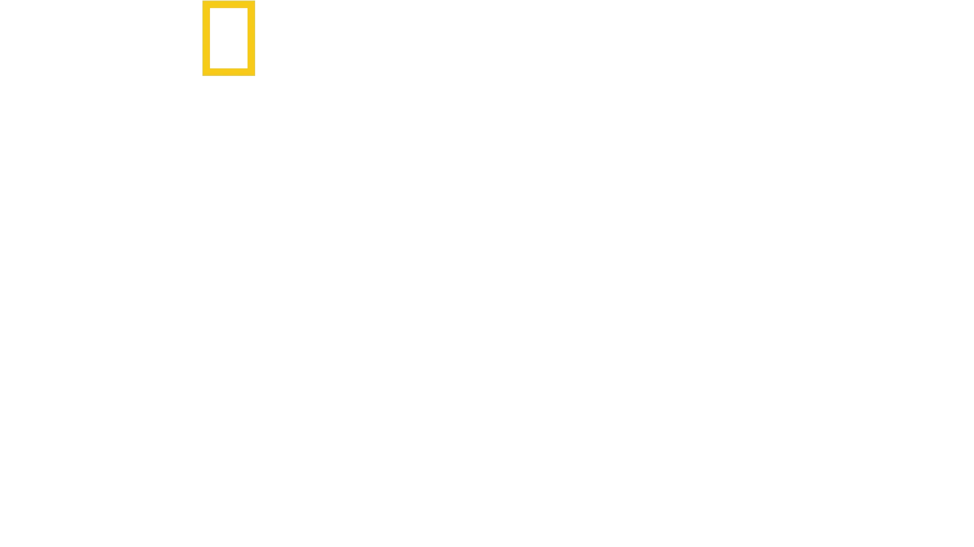 היער המוגן