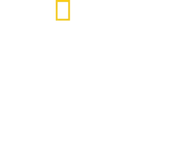 היער המוגן