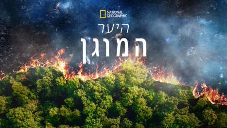 thumbnail - היער המוגן