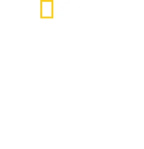 חיי פרא
