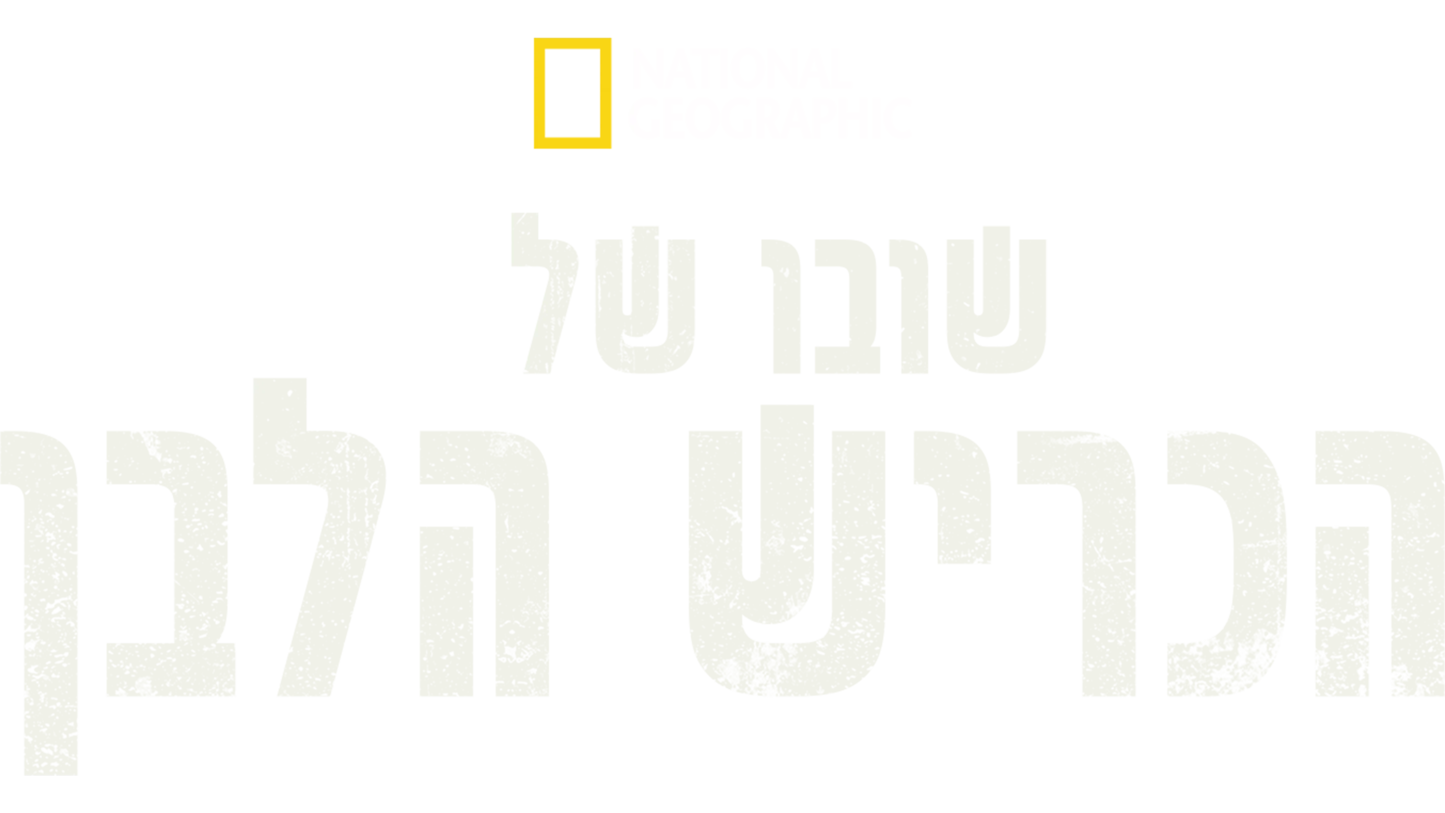 שובו של הכריש הלבן