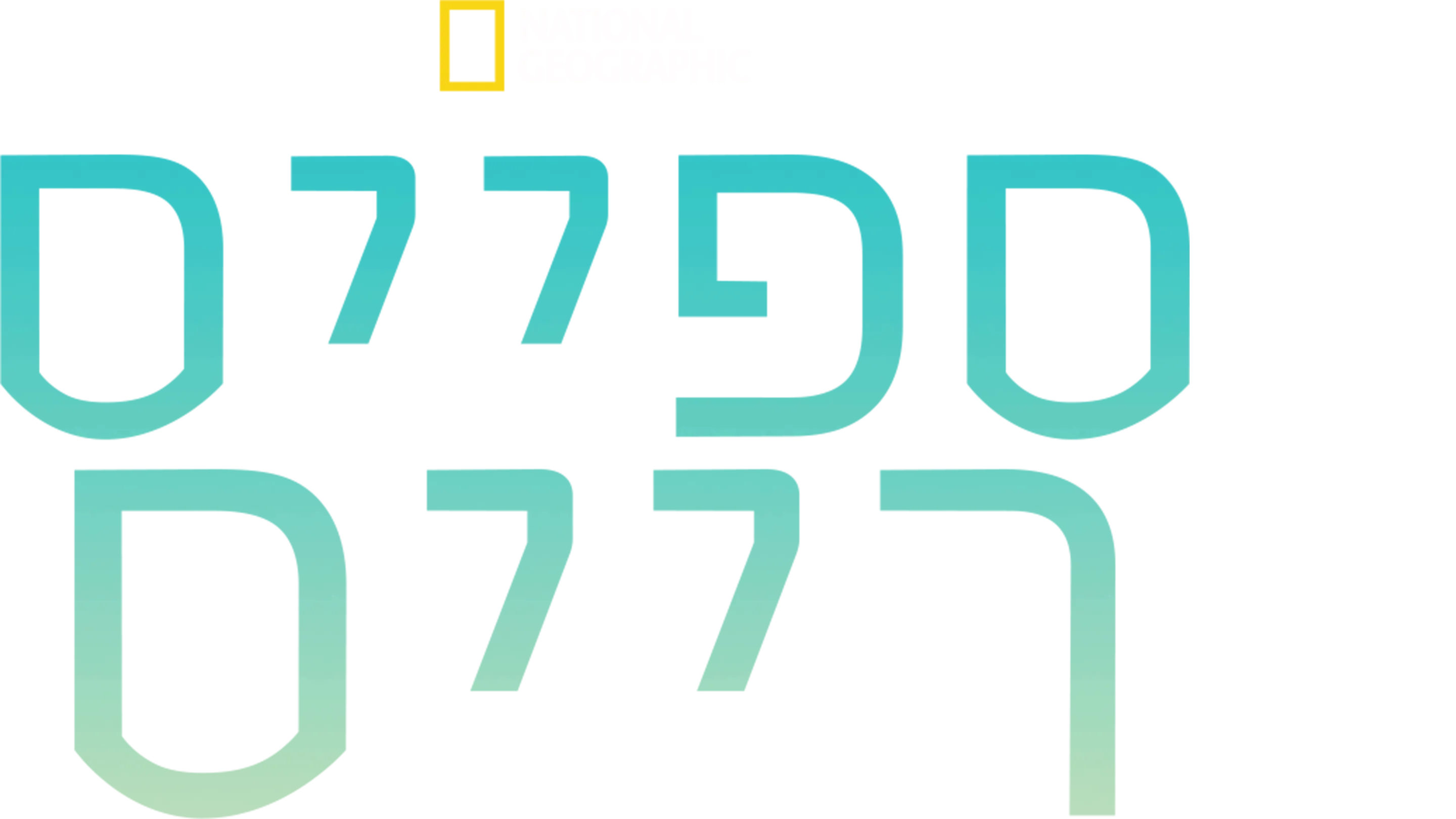 ספייס רייס
