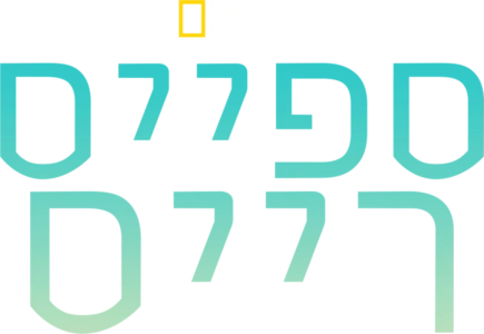 ספייס רייס
