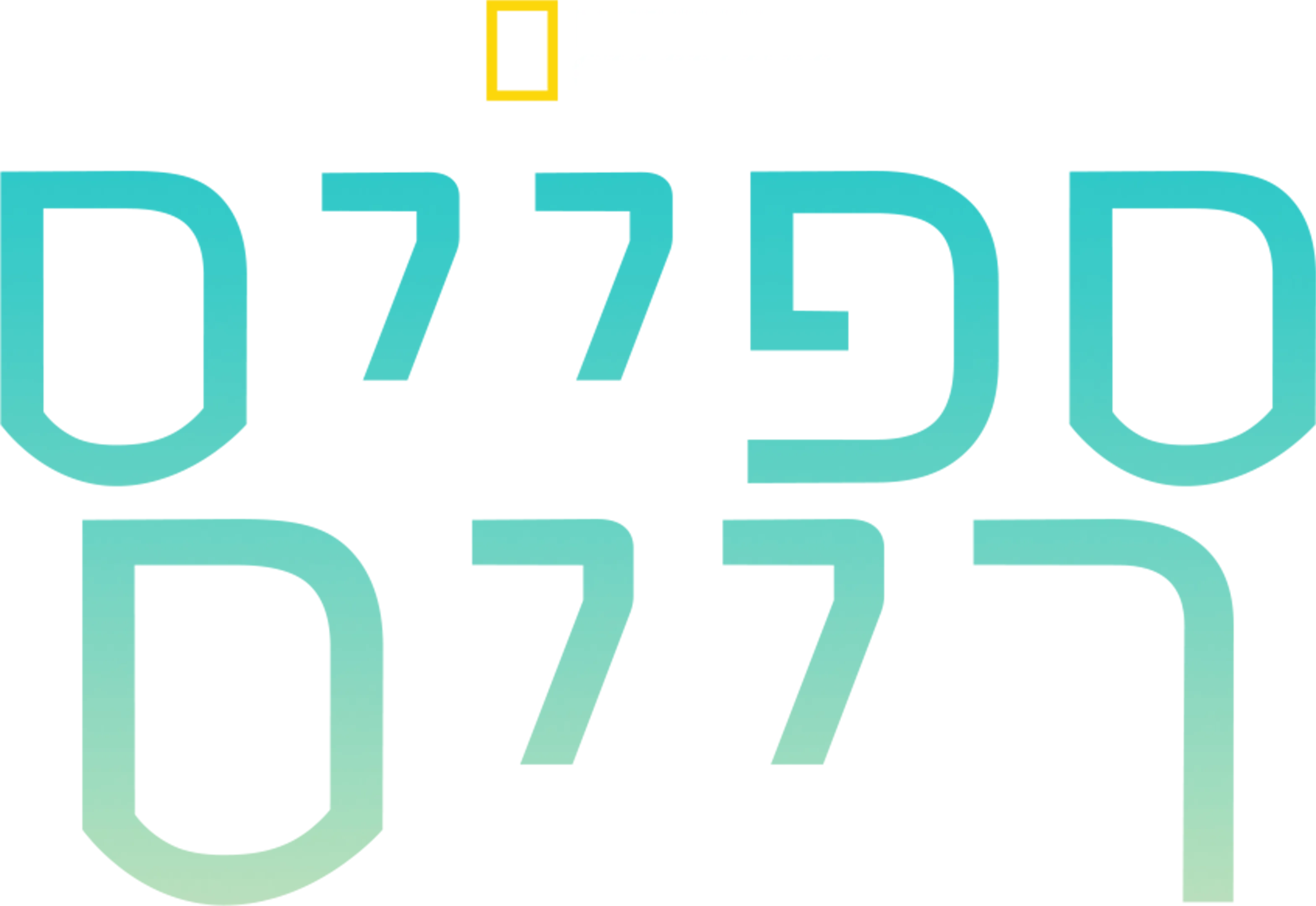 ספייס רייס