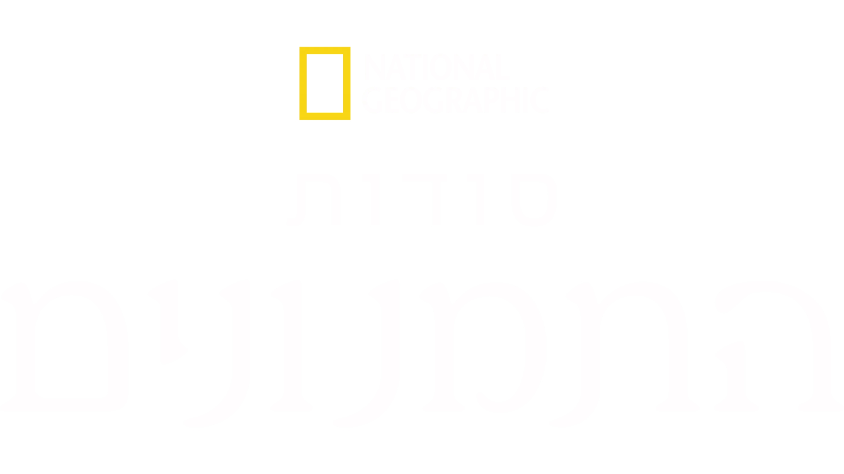 סודות התמנונים