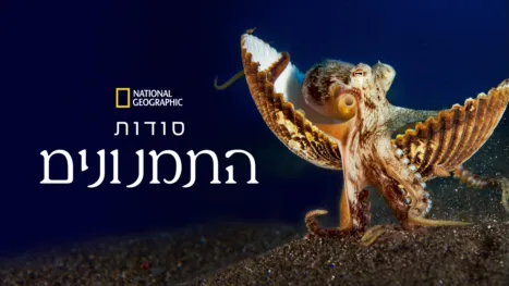 thumbnail - סודות התמנונים