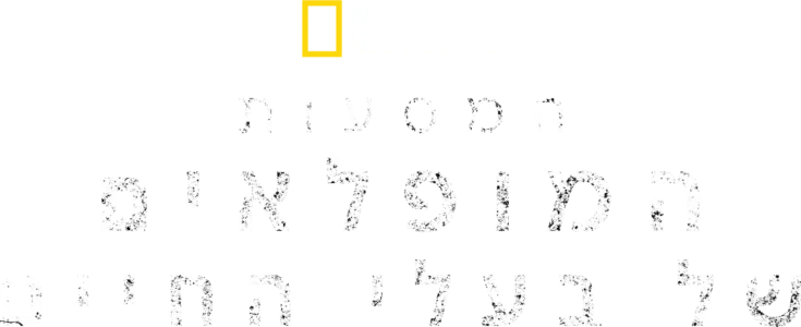 המסעות המופלאים של בעלי החיים