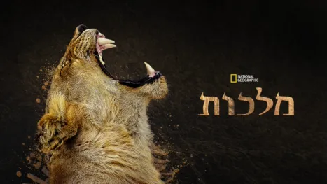 thumbnail - מלכות