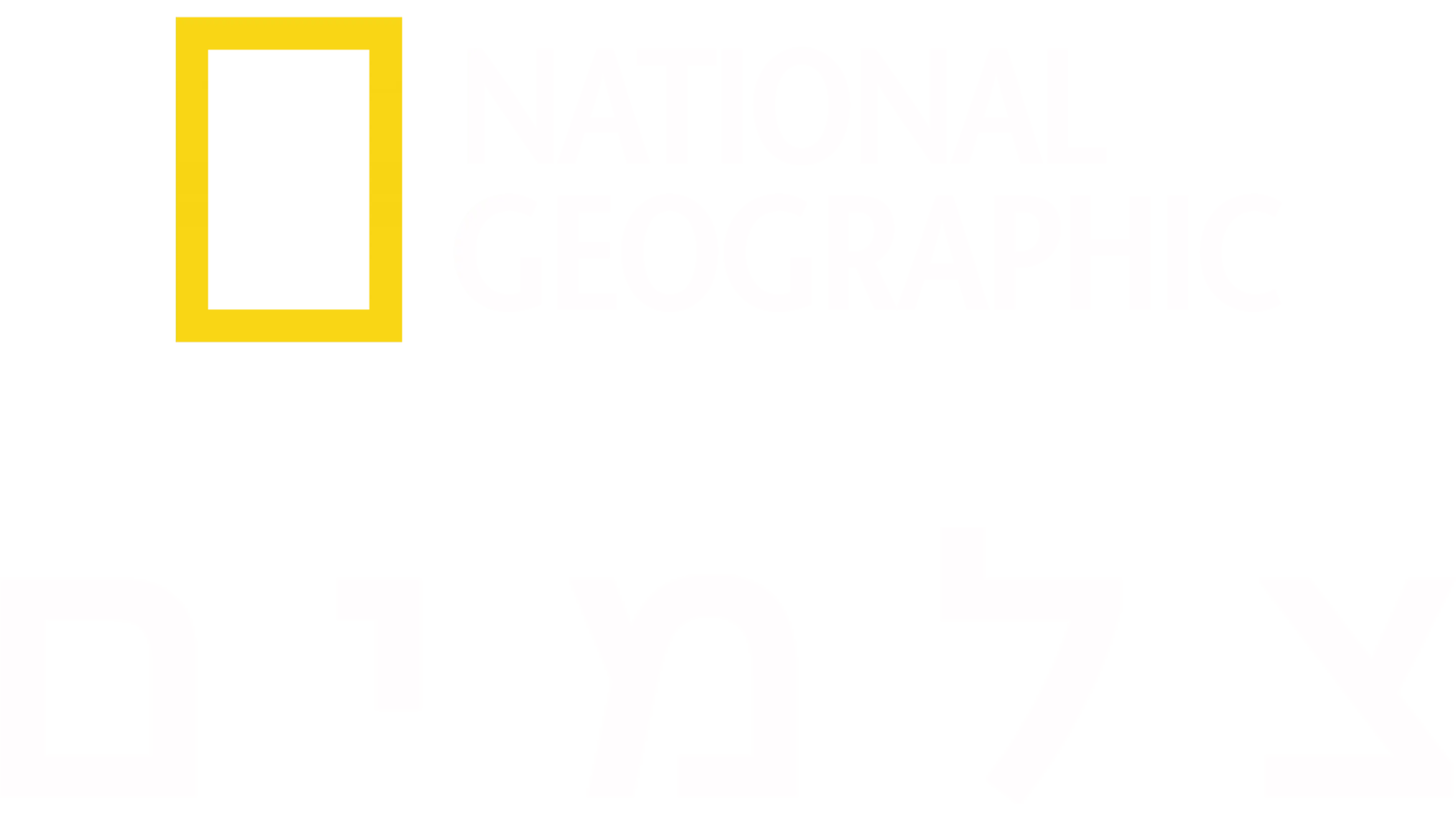 צלמים