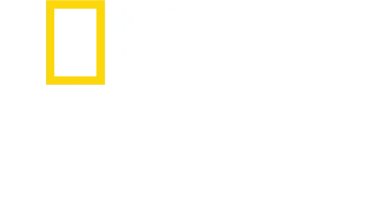 צלמים