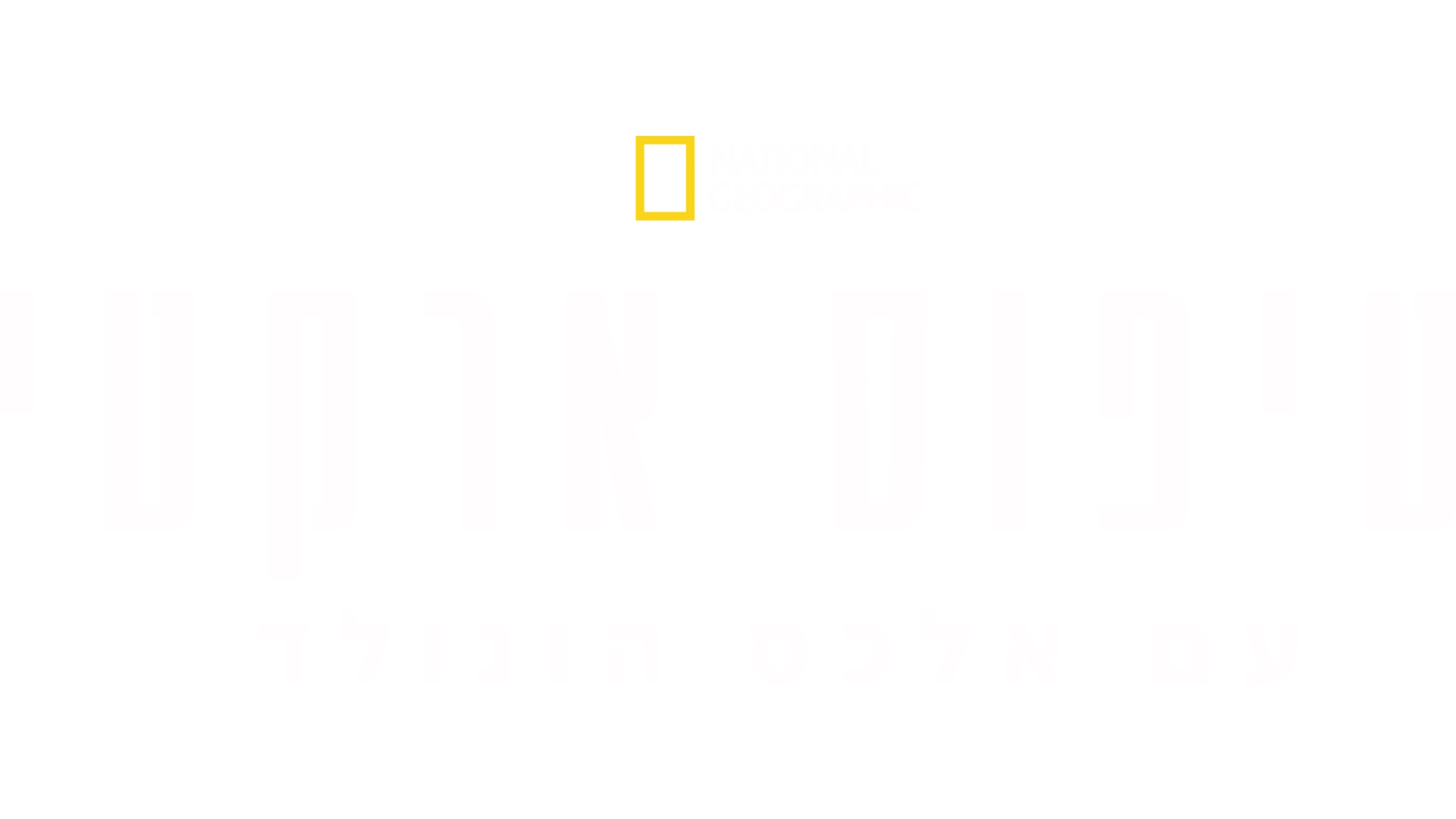 טיפוס ארקטי עם אלכס הונולד