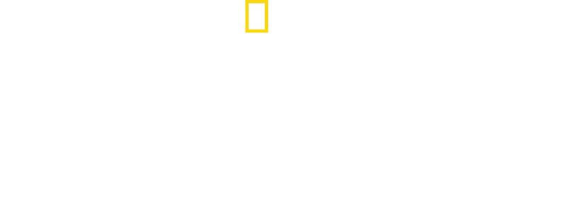 טיפוס ארקטי עם אלכס הונולד