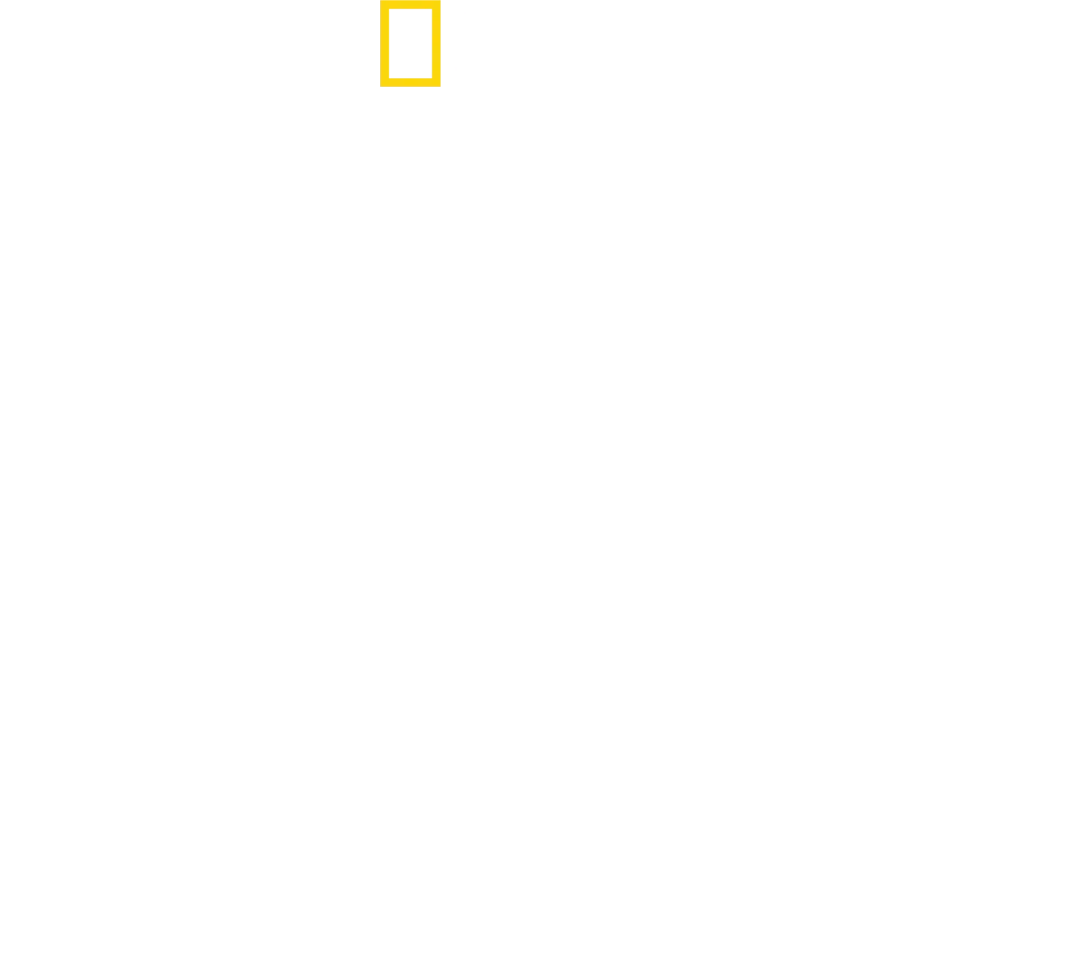 ديفيد بلين: ممارسات ممنوعة