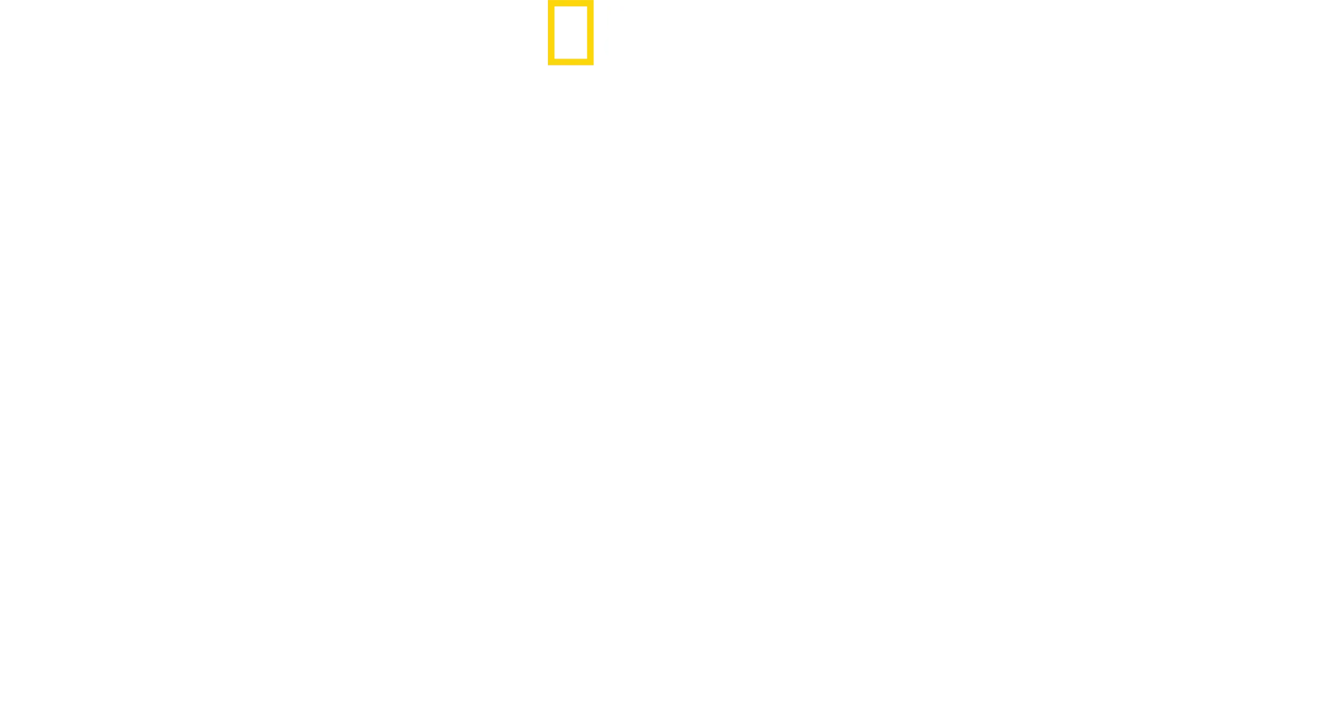 דייוויד בליין: אל תתפתו לנסות