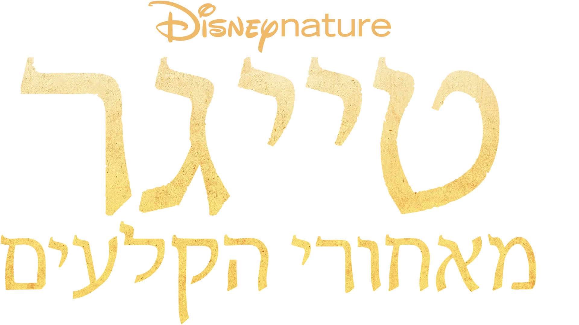 טייגר - מאחורי הקלעים