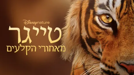 thumbnail - טייגר - מאחורי הקלעים